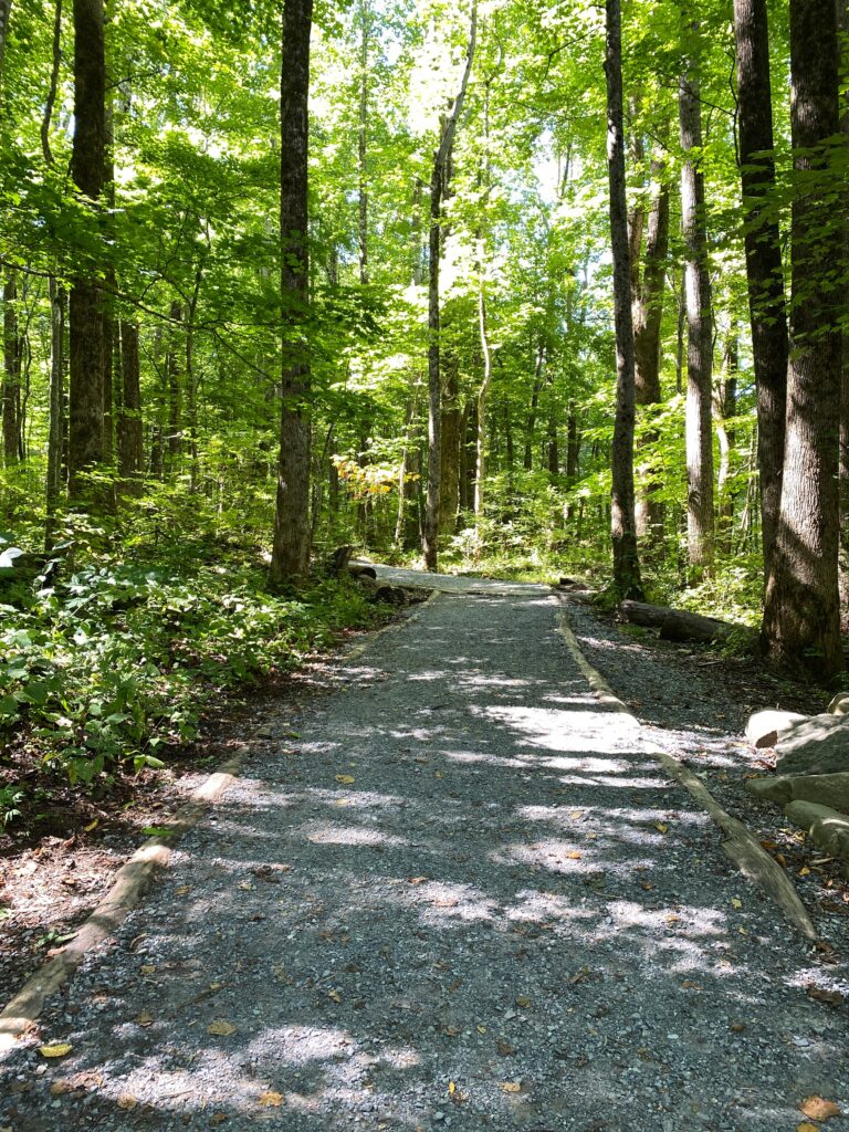 Rainbow Falls Hiking Trail Gatlinburg for couples and adults