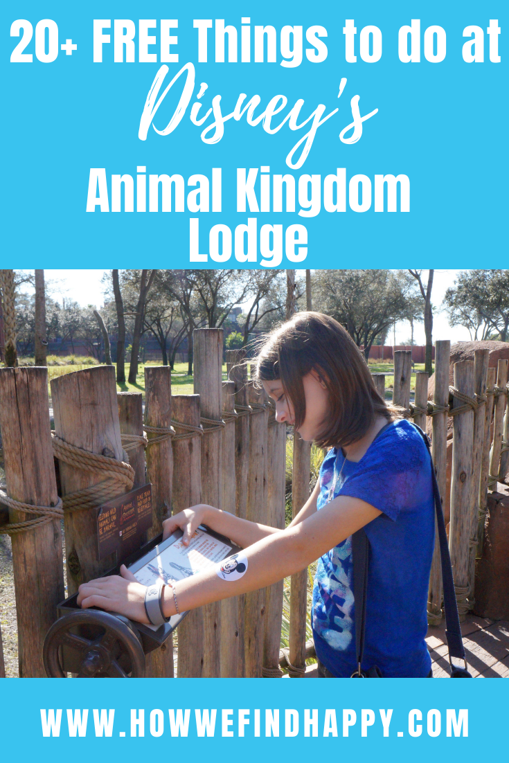 20 things to do at animal kingdom lodge