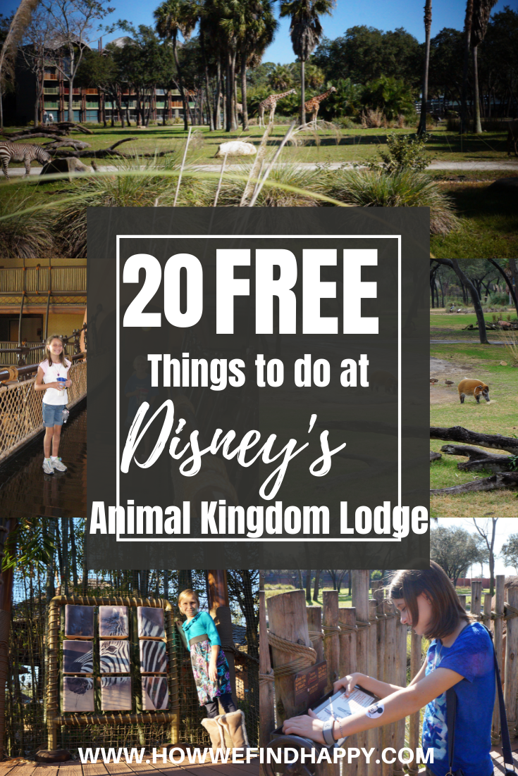 FREE things to do animal kingdom lodge