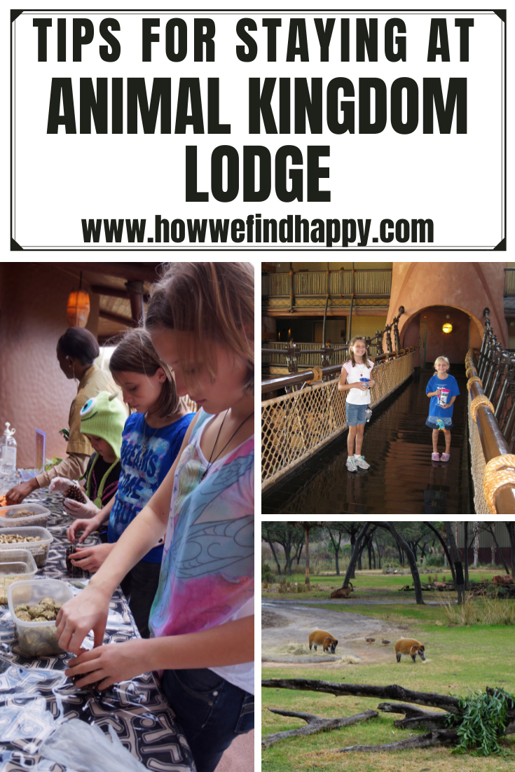 tips for animal kingdom lodge